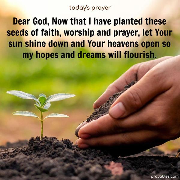 Dear God, Now that I have planted these seeds of faith, worship and prayer, let Your sun shine down and Your heavens open so my hopes and dreams will flourish.