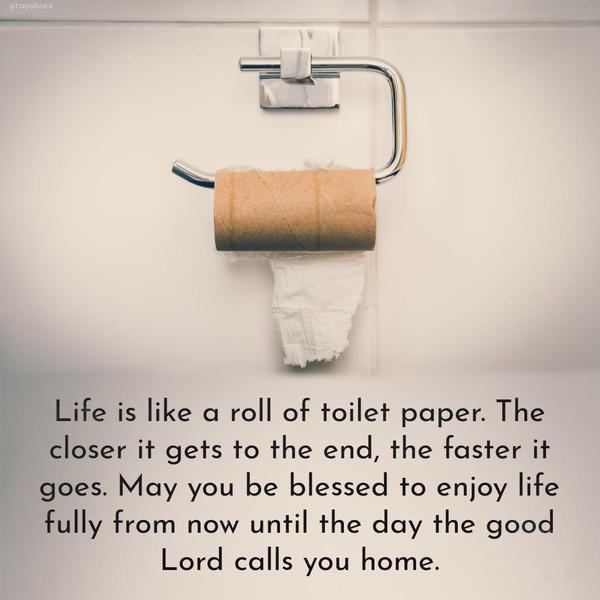 Life is like a roll of toilet paper. The closer it gets to the end, the faster it goes. May you be blessed to enjoy life fully from now until the day the
good Lord calls you home.