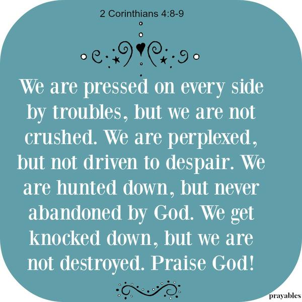 2 Corinthians 4:8-9 We are pressed on every side by troubles, but we are not crushed. We are perplexed, but not driven to despair. We are hunted down, but never abandoned by God. We get knocked down, but we are  not destroyed. Praise
God!