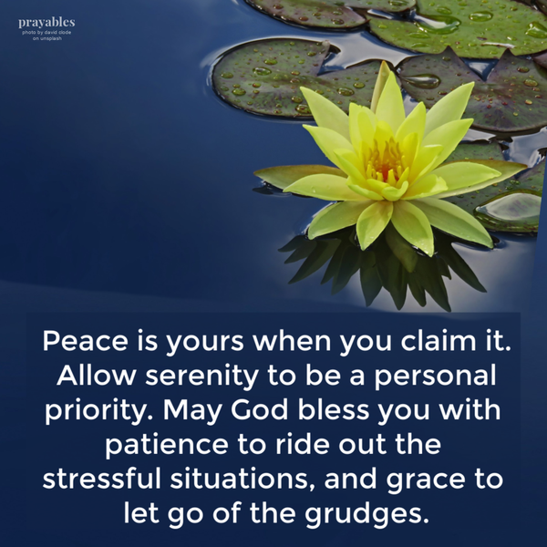 Peace is yours when you claim it. Allow serenity to be a personal priority. May God bless you with patience to ride out the stressful situations, and grace to let go of the grudges.