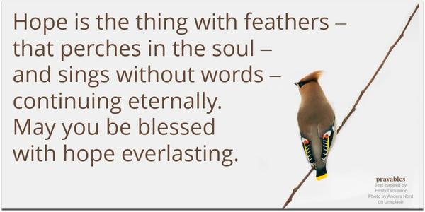 Hope is the thing  with feathers –  that perches in the soul –  and sings without words – continuing eternally. May you be blessed with hope everlasting.