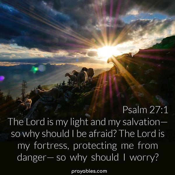 Psalm 27:1 The Lord is my light and my salvation— so why should I be afraid? The Lord is my fortress, protecting me from
danger— so why should I worry?