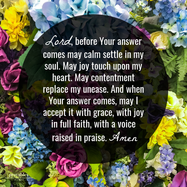 Lord, before Your answer comes may calm settle in my soul. May joy touch upon my heart. May contentment replace my unease. And when Your answer comes, may I accept it with grace, with joy in full faith, with a voice raised in praise. Amen