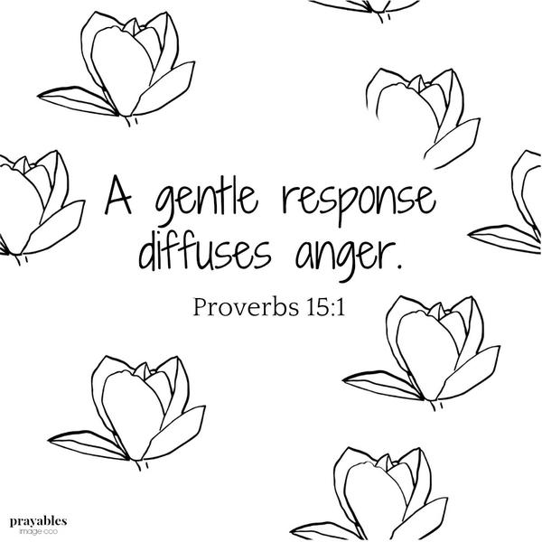 Proverbs 15:1  A gentle response diffuses anger.