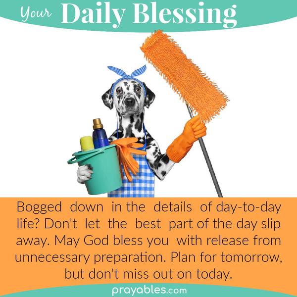 Are you bogged down in the details of day-to-day life? Don't let the best part of the day slip away. May God bless you with release from
unnecessary preparation. Plan for tomorrow, but don't miss out on today.