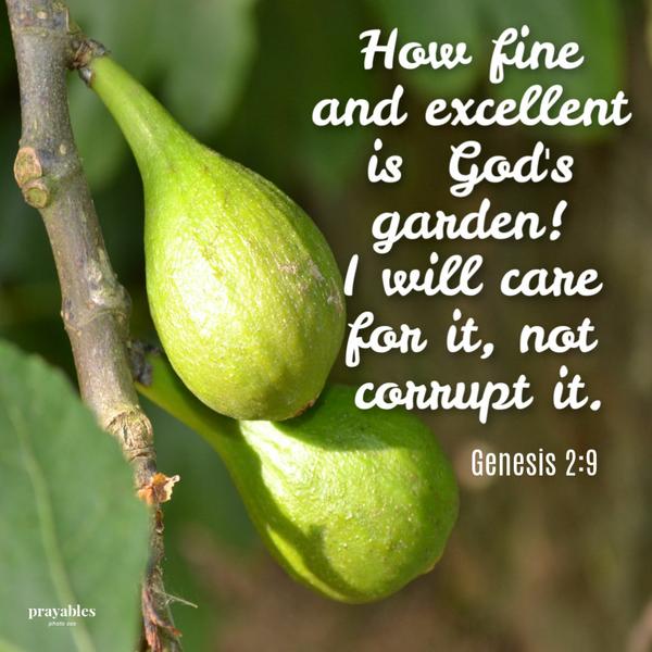 Genesis 2:9  How fine and excellent is God’s garden! I will care for it, not corrupt it.