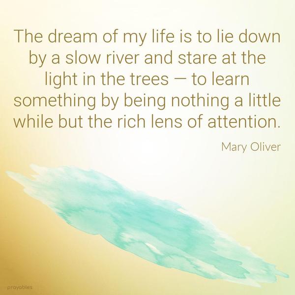 The dream of my life is to lie down by a slow river and stare at the light in the trees — to learn something by being nothing a little while but the rich lens of attention. Mary Oliver