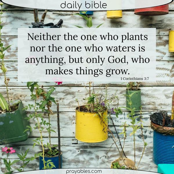 1 Corinthians 3:7 Neither the one who plants nor the one who waters is anything, but only God, who makes things grow.