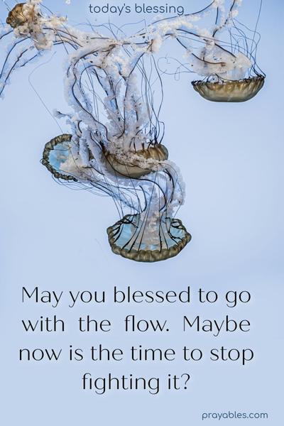 May you be blessed to go with the flow. Maybe now is the time to stop fighting it?