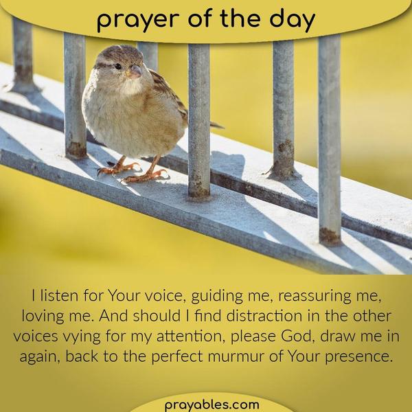 I listen for Your voice, guiding me, reassuring me, loving me. And should I find distraction in the other voices vying for my attention, please God, draw me in again, back to
the perfect murmur of Your presence.