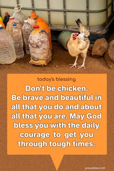 Don't be chicken. Be brave and beautiful in all that you do and about all that you are. May God bless you with the daily courage to get you through tough times.