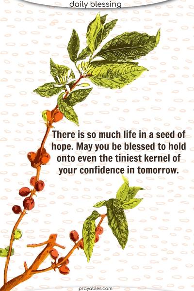 There is so much life in a seed of hope. May you be blessed to hold onto even the tiniest kernel of your confidence in tomorrow.