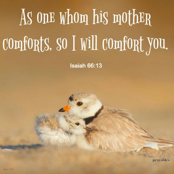 As one whom his mother comforts, so I will comfort you.