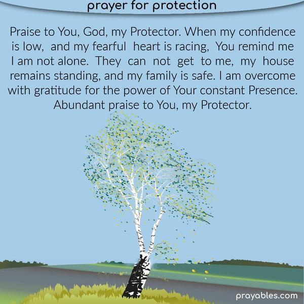 Praise to You, God, my protector. When my confidence is low, and my fearful heart is racing, You remind me I am not alone. They can not get to me, my house
remains standing, and my family is safe. I am overcome with gratitude for the power of Your constant Presence. Abundant praise to You, my protector.
