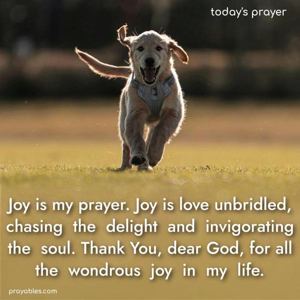 Joy is my prayer. Joy is love unbridled, chasing the delight and invigorating the soul. Thank You, dear God, for all the wondrous joy in my life.