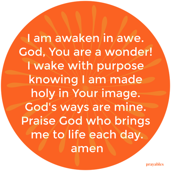 I am awaken in awe. God, You are a wonder! I wake with purpose knowing I am made holy in Your image. God’s ways are mine. Praise God who brings me to life each day. amen