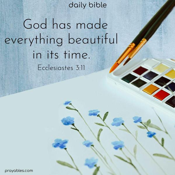  God has made everything beautiful in its time. Ecclesiastes 3:11