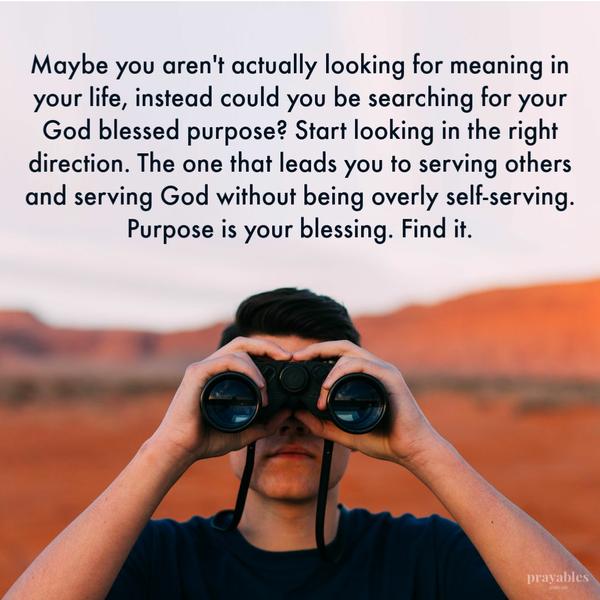 Maybe you are not actually looking for meaning in your life, instead could you be searching for your God blessed purpose? Start
looking in the right direction. The one that leads you to serving others and serving God without being overly self-serving. Purpose is your blessing. Find it.