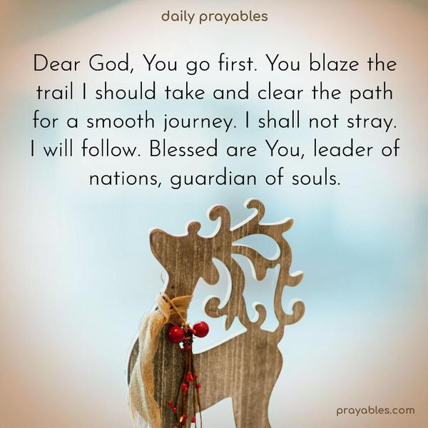 Dear God, You go first. You blaze the trail I should take and clear the path for a smooth journey. I shall not stray. I will follow. Blessed are You, leader of nations, guardian of souls.