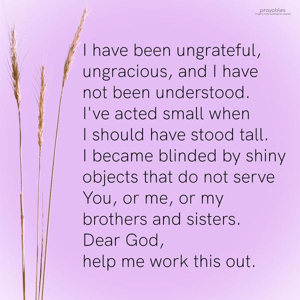 I have been ungrateful, ungracious, and I have not been understood. I've acted small when I should have stood tall. I became blinded by shiny objects that
do not serve You, or me, or my brothers and sisters. Dear God, help me work this out. 