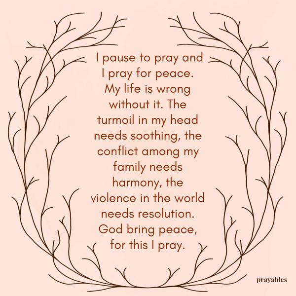 I pause to pray and I pray for peace. My life is wrong without it. The turmoil in my head needs soothing, the conflict among my
family needs harmony, the violence in the world needs resolution. God bring peace, for this I pray.