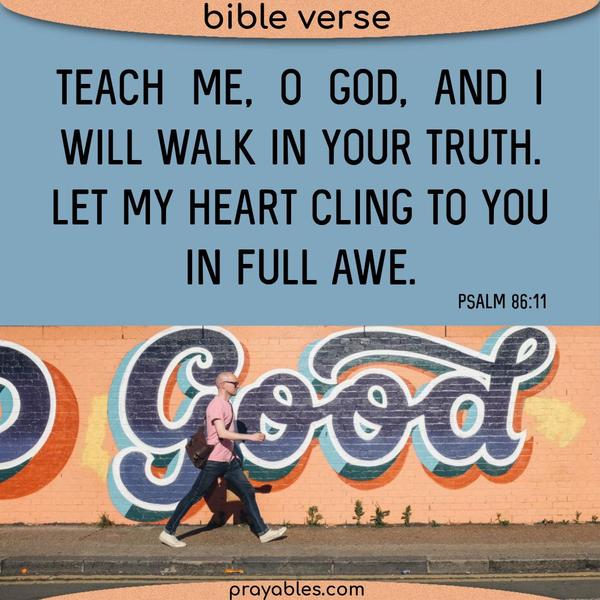 Psalm 86:11 Teach me, O God, and I will walk in Your truth. Let my heart cling to You in full awe.