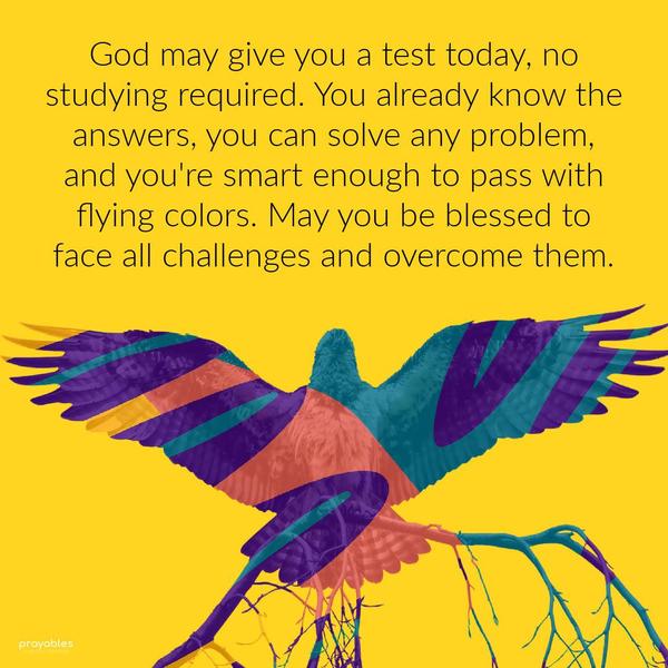 God may give you a test today, no studying required. You already know the answers, you can solve any problem, and you're smart enough to pass with flying
colors. May you be blessed to face all challenges and overcome them. 