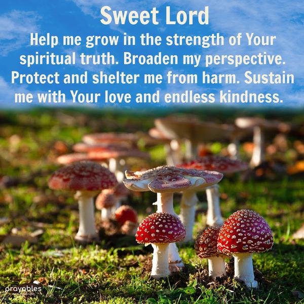 Sweet Lord, Help me grow in the strength of Your spiritual truth. Broaden my perspective. Protect and shelter me from harm. Sustain me with Your love and endless kindness.   Amen