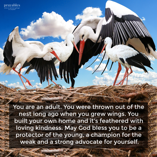 You are an adult. You were thrown out of the nest long ago when you grew wings. You built your own home and it’s feathered with
loving kindness. May God bless you to be a protector of the young, a champion for the weak and a strong advocate for yourself.