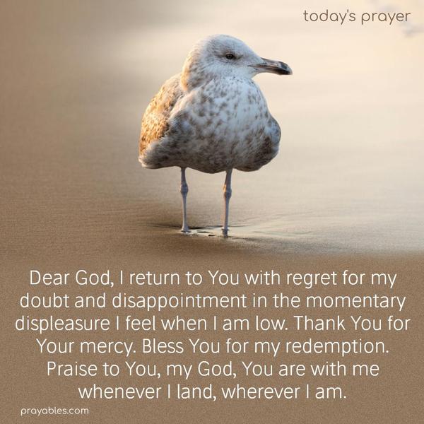 Dear God, I return to You with regret for my doubt and disappointment in the momentary displeasure I feel when I am low. Thank You for Your mercy. Bless You for my redemption. Praise to You, my God, You are with me whenever I land, wherever I am.