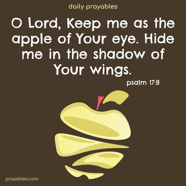 O Lord, Keep me as the apple of Your eye. Hide me in the shadow of Your wings.  Psalm 17:8