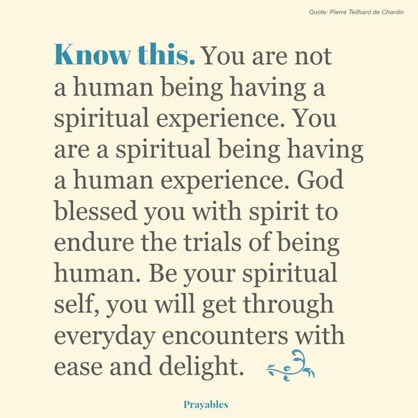 Know this. You are not a human being having a spiritual experience. You are a spiritual being having a human experience. God blessed you with spirit to endure the trials of being human. Be your spiritual self, you will get through
everyday encounters with ease and delight.