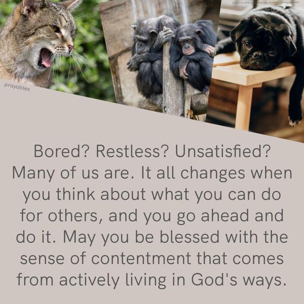 Bored? Restless? Unsatisfied? Many of us are. Yet, when you think about what you can do for others, and you go ahead and do it, it all changes. May you be blessed with the sense of
contentment that comes from actively living in God’s ways.