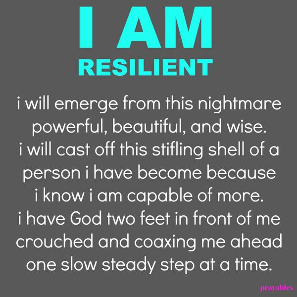 I am resilient. i will emerge from this nightmare powerful, beautiful, and wise. i will cast off this stifling shell of a person i have become because i know i am capable of more. i have God two feet in front of me crouched and
coaxing me ahead one slow steady step at a time.