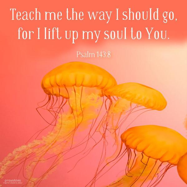 Psalm 143:8 Teach me the way I should go, for I lift up my soul to You.