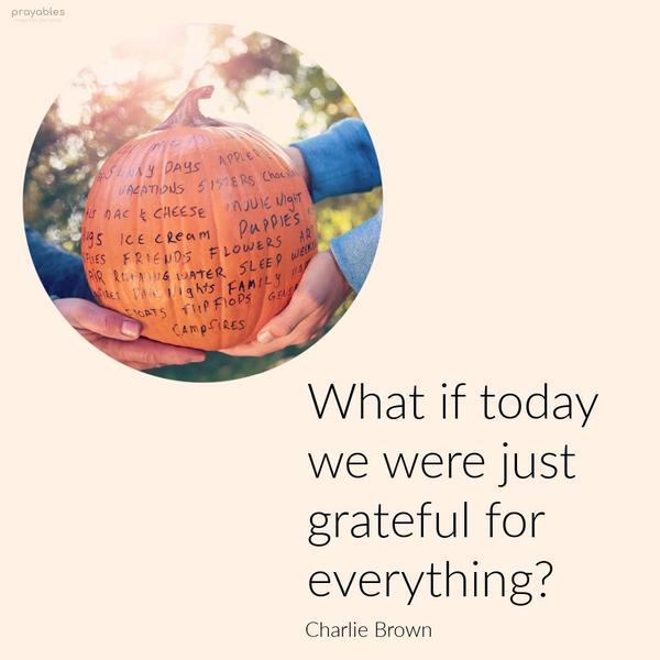 ​​​​​​​What if today we were just grateful for everything? Charlie Brown