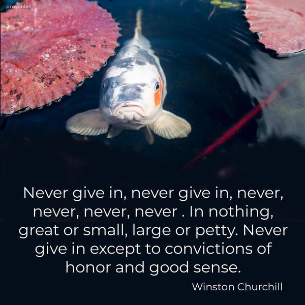 Never give in, never give in, never, never, never, never. In nothing, great or small, large or petty. Never give in except to convictions of honor and good sense. Winston Churchill