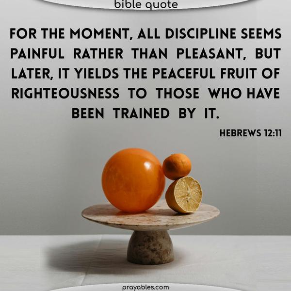 For the moment, all discipline seems painful rather than pleasant, but later, it yields the peaceful fruit of righteousness to those who have been trained by it. Hebrews 12:11 