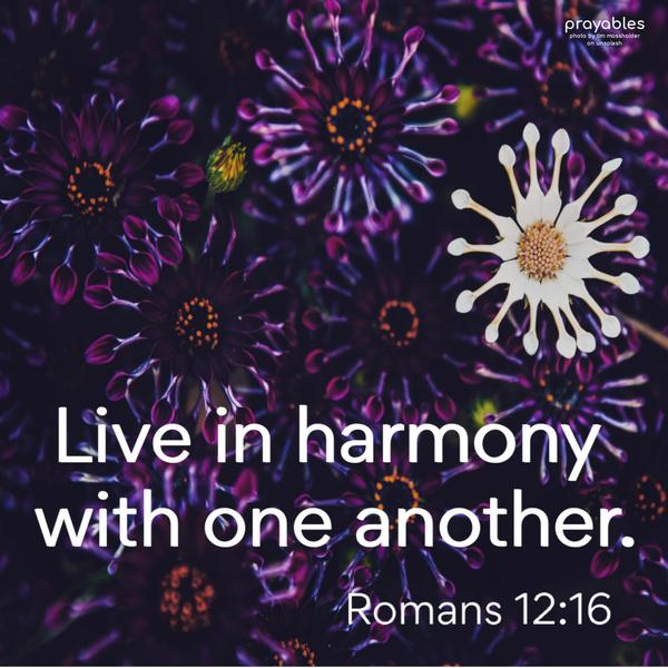 Romans 12:16 Live in harmony with one another.