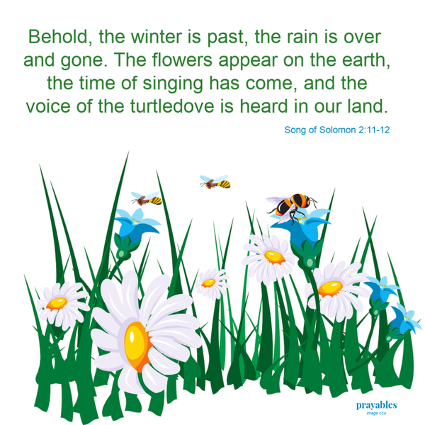 Song of Solomon 2:11-12  Behold, the winter is past, the rain is over and gone. The flowers appear on the earth, the time of singing has come, and the voice of the turtledove is heard in our land.