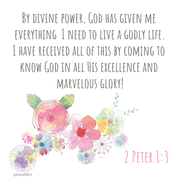 2 Peter 1:3  By divine power, God has given me everything I need to live a godly life. I have received all of this by coming to know God in all His excellence and marvelous glory!