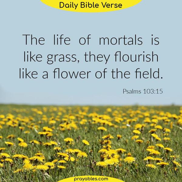 Psalms 103:15 The life of mortals is like grass, they flourish like a flower of the field.