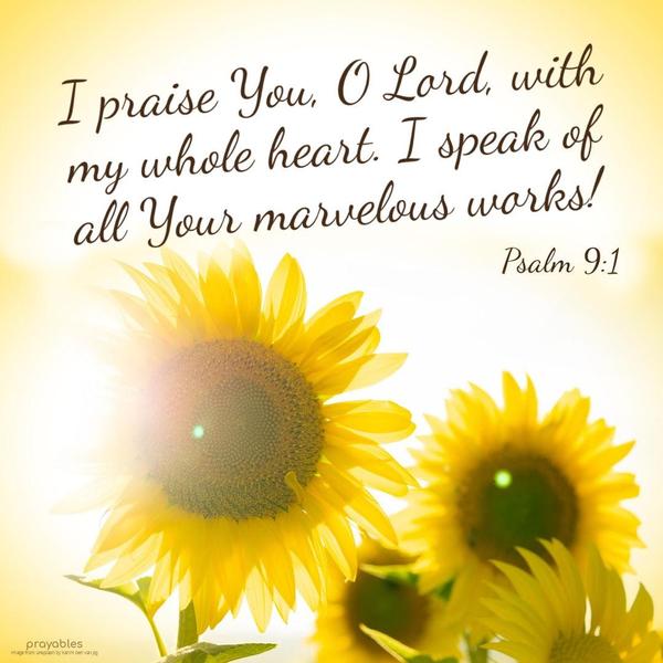  Psalm 9:1 I praise You, O Lord, with my whole heart. I speak of all Your marvelous works!