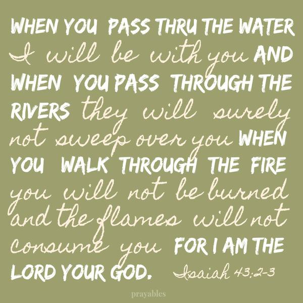 Isaiah 43:2-3 When you  pass thru the water I  will  be  with you And when  you pass  through the rivers  they  will   surely not  sweep over you When  you   walk  through  the  fire you  will  not  be burned and the flames  will
not  consume  you  For I am the Lord your God.