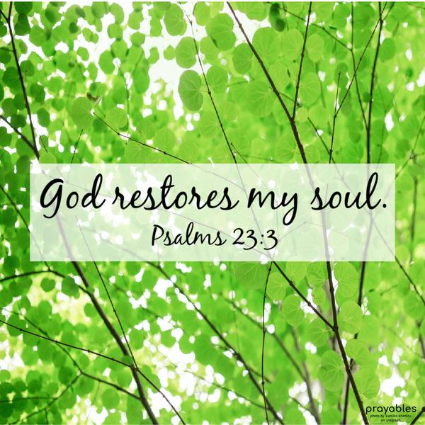 Psalms 23:3 God restores my soul.