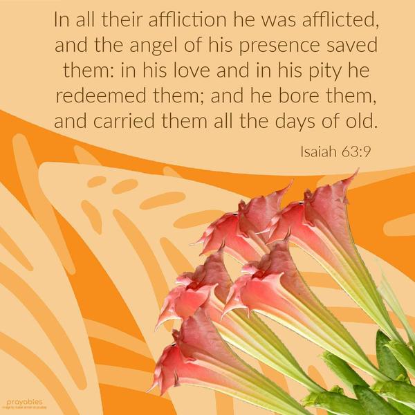 Isaiah 63:9 In all their affliction, he was afflicted, and the angel of his presence saved them: in his love and his pity, he redeemed them, and he bore them and carried them all the days
of old.