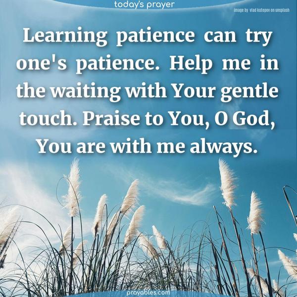 Learning patience can try one's patience. Help me in the waiting with Your gentle touch. Praise to You, O God, You are with me always