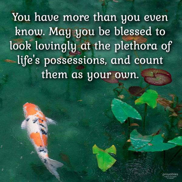 You have more than you even know. May you be blessed to look lovingly at the plethora of life’s possessions, and count them as your own.