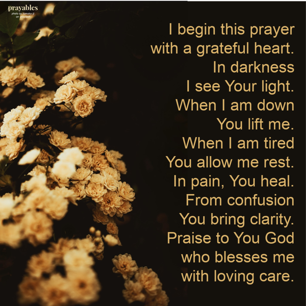 I begin this prayer with a grateful heart. In darkness I see Your light. When I am down You lift me. When I am tired You allow me rest. In pain, You heal. From confusion You bring clarity. Praise to You God who blesses me  with loving
care.