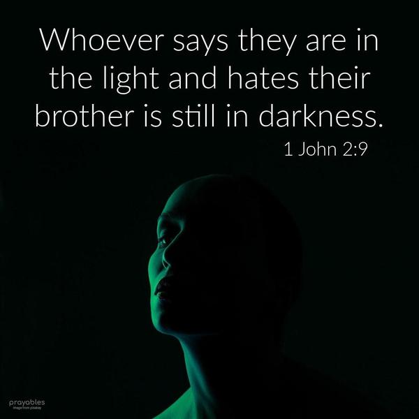 1 John 2:9 Whoever says they are in the light and hates their brother is still in darkness.